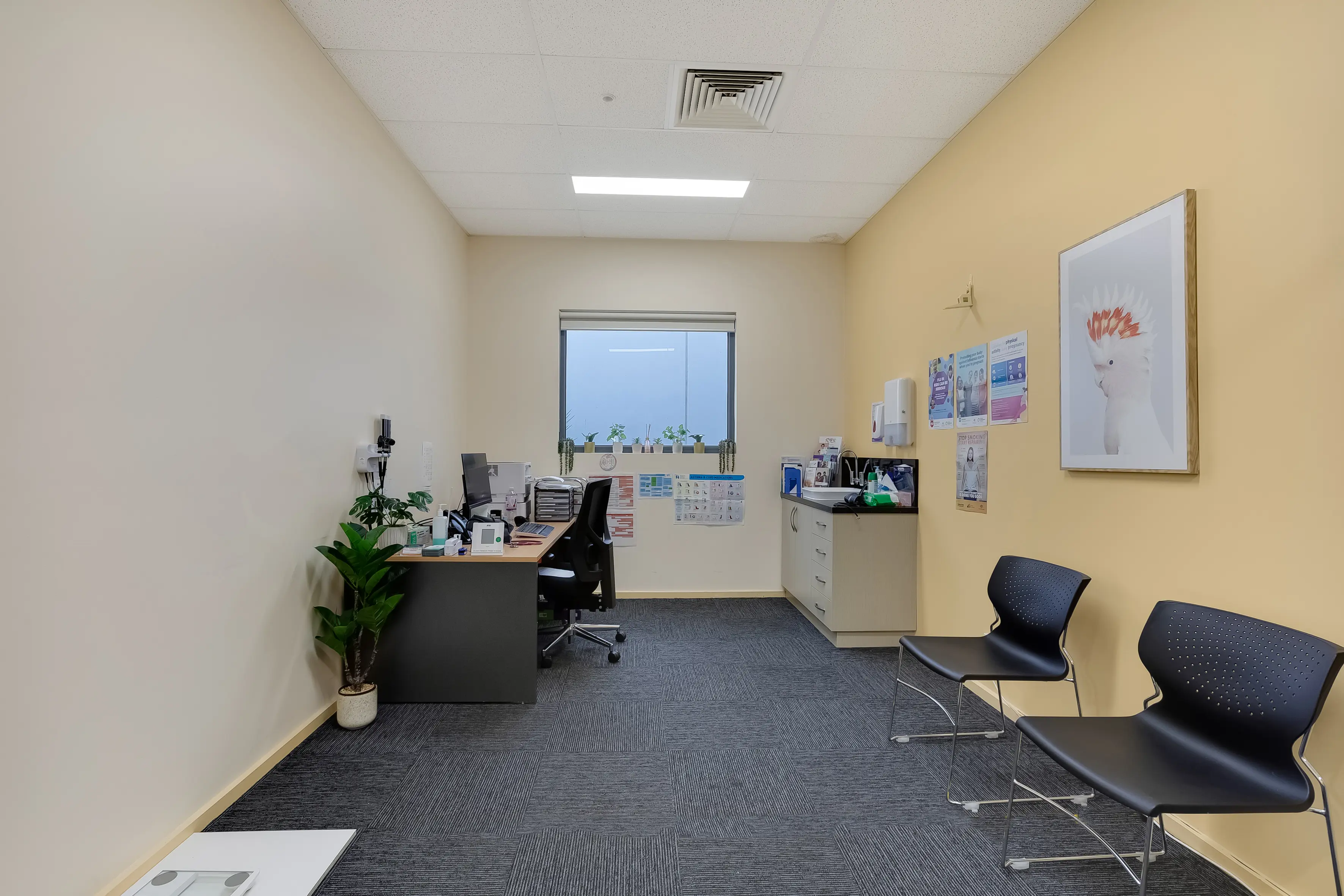 Myhealth Point Cook Banner 13