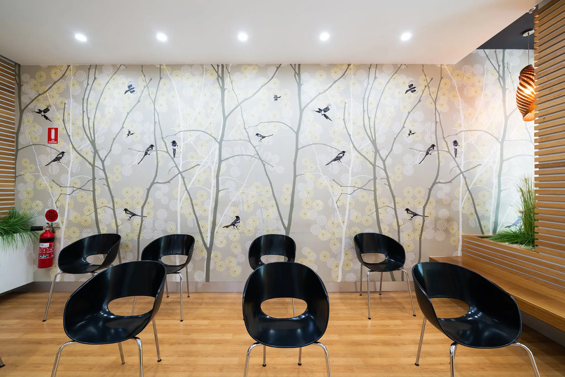 Myhealth-Central-Park-Banner-8.jpg (1)